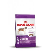 Royal Canin giant junior